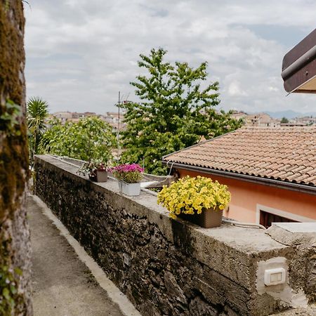 B&B Gep & Lela Caselle in Pittari Dış mekan fotoğraf